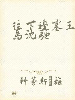 往下边塞玉器骑马沈驰