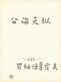 公治天纵封面