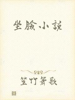 坐脸小说