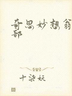 奇思妙想翁十三部封面