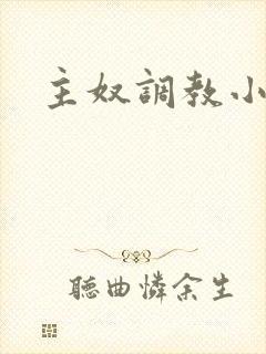 主奴调教小说封面