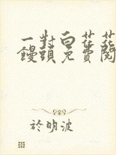 一对白花花的大馒头免费阅读