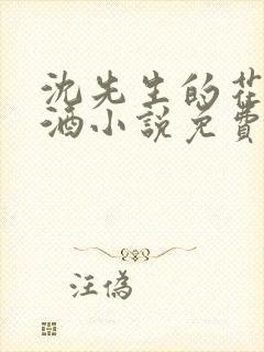 沈先生的花式调酒小说免费阅读