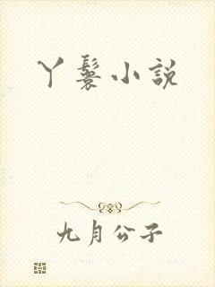 丫鬟小说