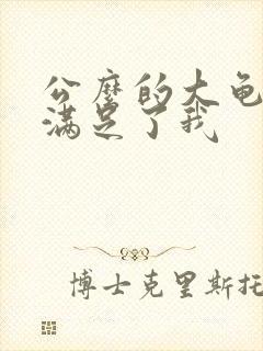 公么的大龟强大满足了我