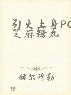 引火上身POP芝麻糖丸