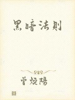 黑暗法则封面