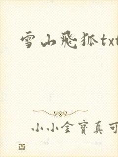 雪山飞狐txt