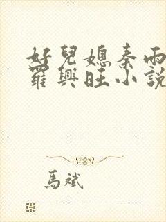好儿媳秦雨罗明罗兴旺小说