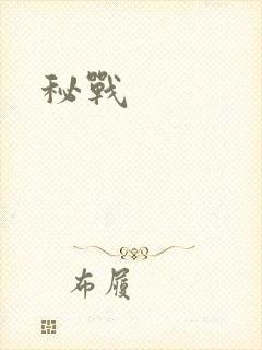 秘战封面