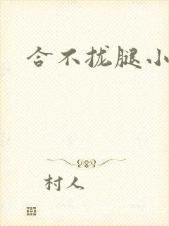 合不拢腿小说