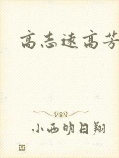 高志远高芳封面