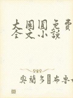 大团圆免费阅读全文小说
