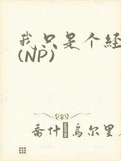 我只是个经纪人(NP)封面