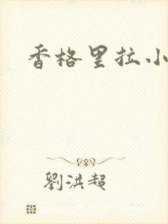 香格里拉小说封面