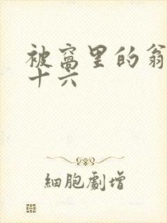 被窝里的翁憩二十六封面