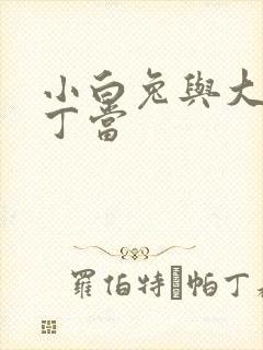 小白兔与大灰狼丁当封面
