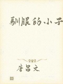驯服的小子4