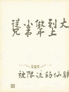从小做到大骨科兄弟年上封面