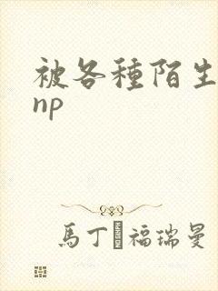 被各种陌生人 np