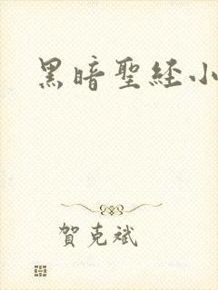 黑暗圣经小说