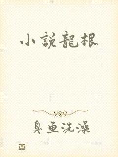 小说龙根