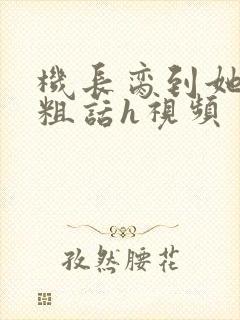 机长脔到她哭h粗话h视频