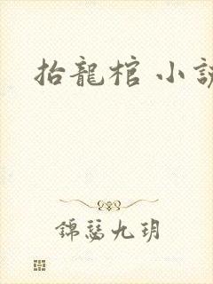 抬龙棺 小说