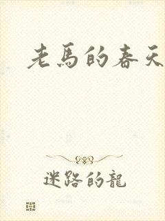 老马的春天敏静