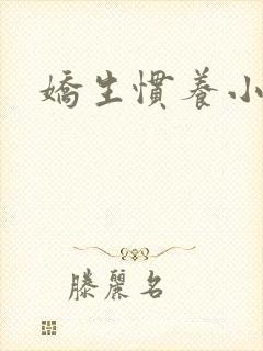 娇生惯养小说