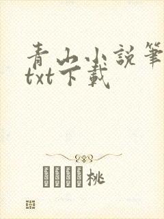 青山小说笔趣阁txt下载