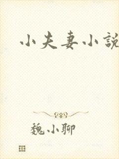 小夫妻小说