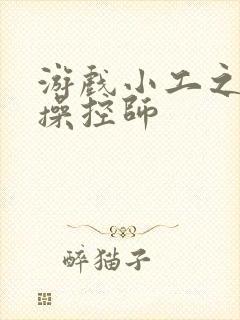 游戏小工之元素操控师封面