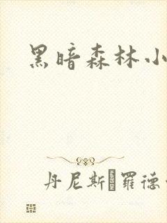 黑暗森林小说封面