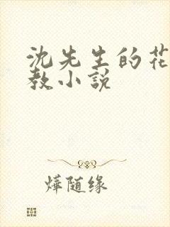 沈先生的花式调教小说封面
