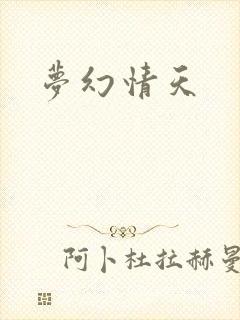 梦幻情天封面