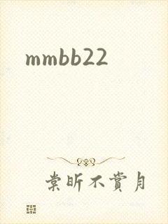 mmbb22封面