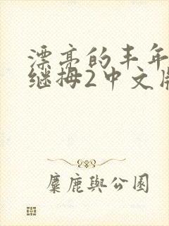 漂亮的丰年经的继拇2中文版