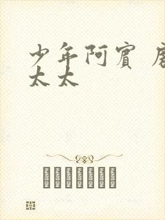 少年阿宾 房东太太