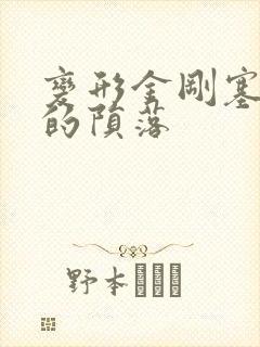 变形金刚塞伯坦的陨落封面