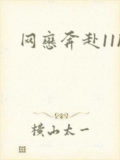 网恋奔赴11h封面
