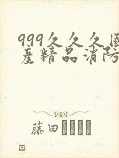 999久久久国产精品消防器材