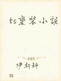 ts变装小说