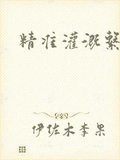 精准灌溉系统