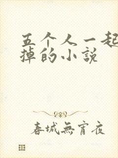 五个人一起会坏掉的小说封面