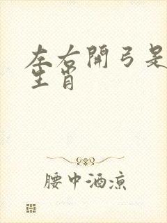 左右开弓是什么生肖