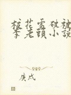 校花处破被灌满李老头小说封面