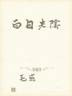 白日光阴封面