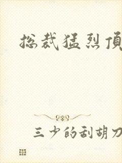 总裁猛烈顶弄h封面