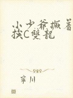 小少爷撅着屁股挨C双龙封面
